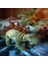 Jattelık Peluş Oyuncak Dinozor Uyku ve Oyun Arkadaşım 50 cm 4