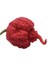 Tohumcu Kikizade Carolina Reaper Biberi + 50 1