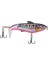 2 Adet Biyonik Yem Sabit Bait For All Waters (6) Balık Tutma Açık (Yurt Dışından) 3
