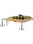 2 Adet Biyonik Yem Sabit Bait For All Waters (4) Balık Tutma Açık (Yurt Dışından) 3