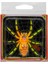 Açık Balıkçılık 2 Adet Açık Balıkçılık Bionic Bait (2 (Yurt Dışından) 5