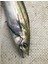 Metal Adict 02 78 mm 40 gr Jig Yem - 04 4