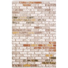 Modern Empera Nessa 2305 Multi 160 x 230 cm