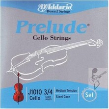 D'Addario Daddarıo J101034