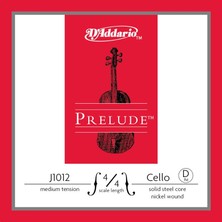 D'Addario Daddarıo J1012 4/4m