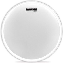 Evans B10UV2
