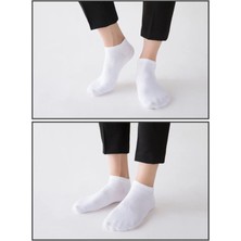 Black Arden Socks 10'lu Ekonomik Paket Patik Çorap BT-0273