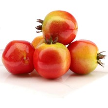 Nettenevime Yapay Nar 6 Lı Paket Yapay Meyve