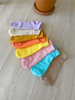 Black Arden Socks Kadın Düz Renkler Cotton 8'li Patik Çorap BT-0274