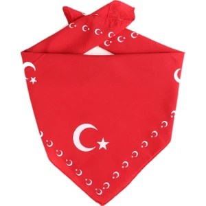 Ay Yıldız Baskılı Bandana