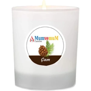 Çam Kokulu Bardak Mum ( Buzlu Cam Bardak )