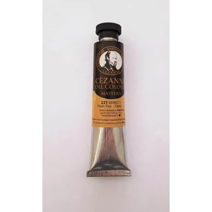 221 Extra Fine Yağlı Boya 45 ml Flesh Tint Dark