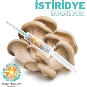 Polski Mycelium Istridye Mantarı Sıvı Misel Kültürü 5 cc Maliyet Azaltıcı