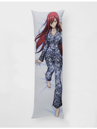 Erza dakimakura 2024