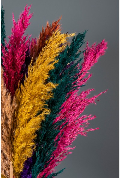 Goya Home Şoklanmış Ilkbahar Model Renkli Pampas Demeti 10'lu