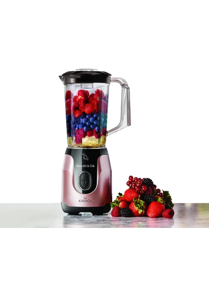 Blendfit Go Rosegold Smoothie Blender Set