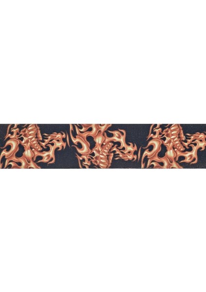 Planetwaves 50LT01