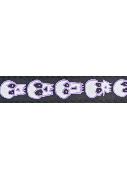 Planetwaves 50JS07