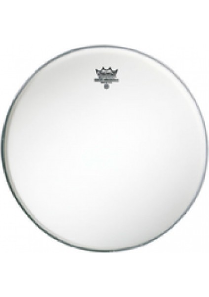 Ambassador BA-0310-00 10 Inch