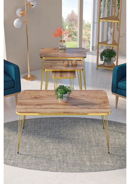 Zigon Sehpa Kr ve Orta Sehpa Kr Set Gold Ceviz Tel