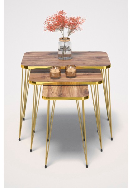 Zigon Sehpa Kr ve Orta Sehpa Kr Set Gold Ceviz Tel fırsatları