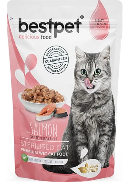 Sterilised Jelly Pouch Somonlu Kedi Maması 85 gr x 9