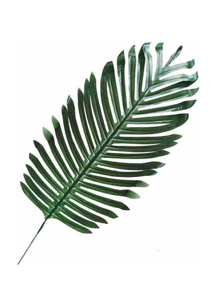 Yaprak Palmiye Modeli 35 cm Pk:5