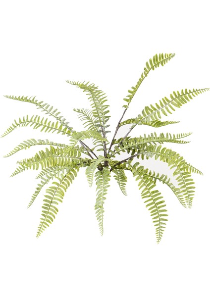Yapay Fujer (Aşk Merdiveni) 50 cm