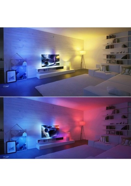 Rgb Akıllı Ampül