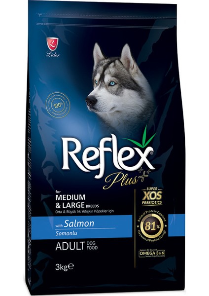Plus Orta Büyük Irk Somonlu Yetişkin Köpek Maması 3 kg
