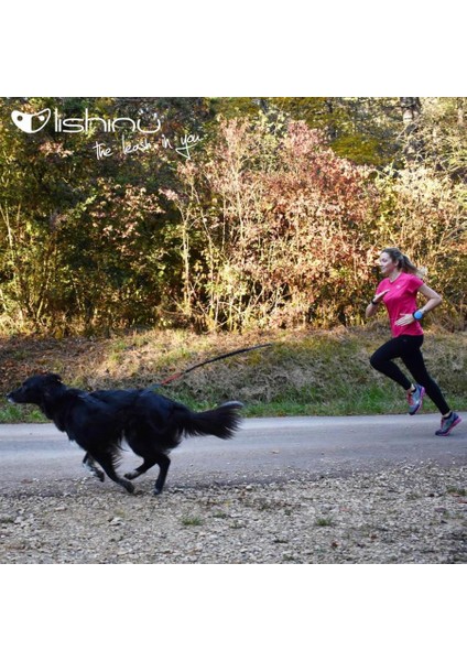 Mavi Akıllı Kontrol Gezdirme L 13-40 kg fiyatları