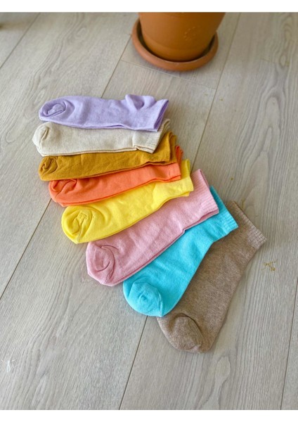 Kadın Düz Renkler Cotton 8'li Patik Çorap BT-0274