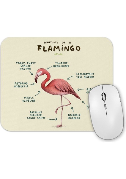 Bir Flamingo Anatomisi Mouse Pad