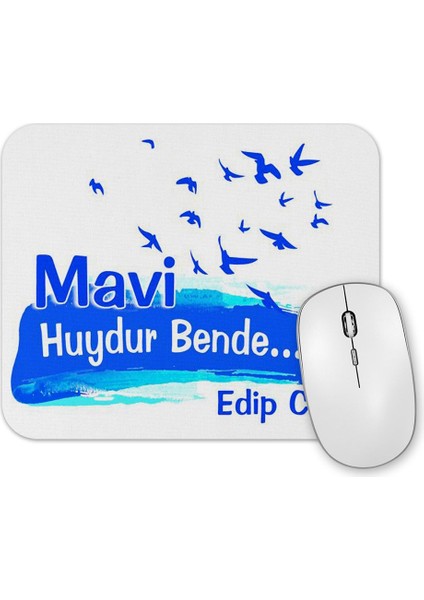Mavi Huydur Bende Edip C