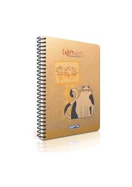 Full Craft A5 çizgisiz Spiralli Sert Kapaklı Defter 96 Yaprak