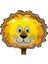 Aslan Temalı Folyo Balon 45 cm 1