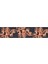 Planetwaves 50LT01 1