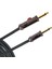Planetwaves Pw-Agl-10 1
