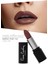 Matte Chiffon Touch Lipstick - Rustic Red -186 4