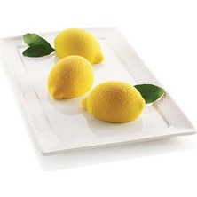 Silikomart Delizia Al Limone Kek Kalıbı