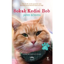 Yabancı Yayınları Sokak Kedisi Bob