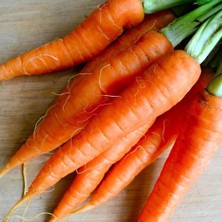 Anamur Naturel Nandes Havuç Fidesi(5 Adet)