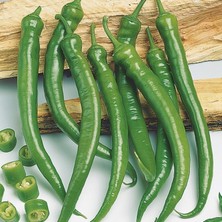 Anamur Naturel Doğal Demre Biber Fidesi (5 Adet)