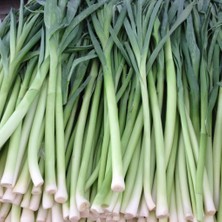 Anamur Naturel Pırasa Fidesi (5 Adet)