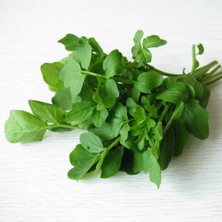 Anamur Naturel Köylüm Geniş Yaprak Tere Fidesi (5 Adet)