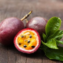 Anamur Naturel Tüplü Passion Fruit (Tutku-Aşk Meyvesi) Fidanı