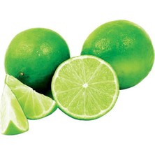 Anamur Naturel Tüplü Aşılı Tatlı Çekirdeksiz Verde Lime Fidanı