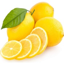 Anamur Naturel Tüplü Aşılı Euroka Limon Fidanı-Iç Mekan