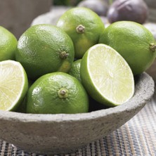 Anamur Naturel Tüplü Aşılı Bol Sulu Tahiti Lime Çekirdeksiz Limon Fidanı