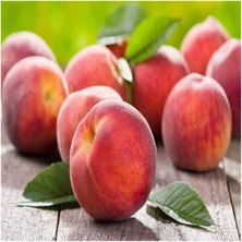 Anamur Naturel Tüplü Sert Meyveli Yarma Elegant Lady Şeftali Fidanı